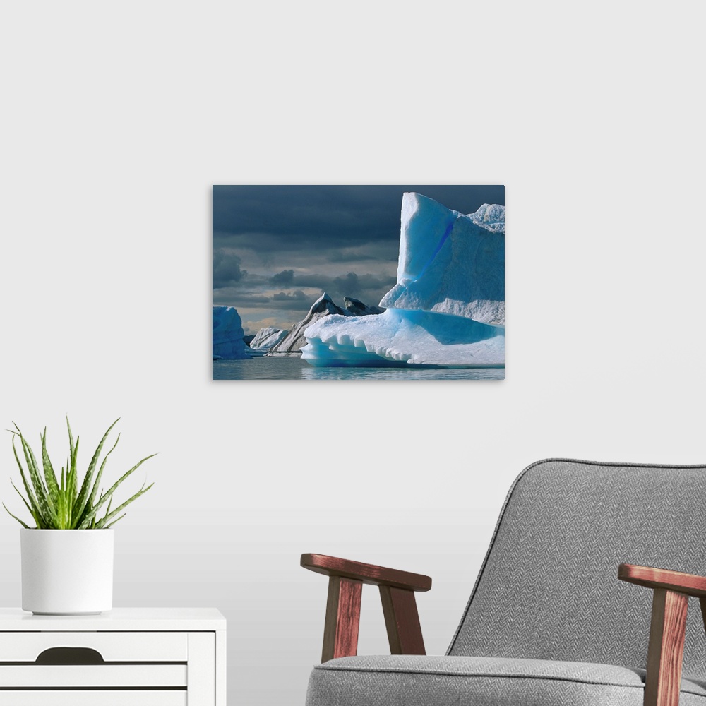 A modern room featuring Icebergs in Harlequin Lake Summer Scenic SE AK         Russel Fjord Wilderness