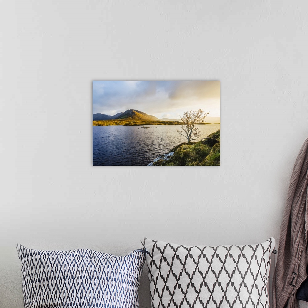A bohemian room featuring A small bare tree on the banks of Derryclare Lough at sunrise with the Connemara mountains in the...