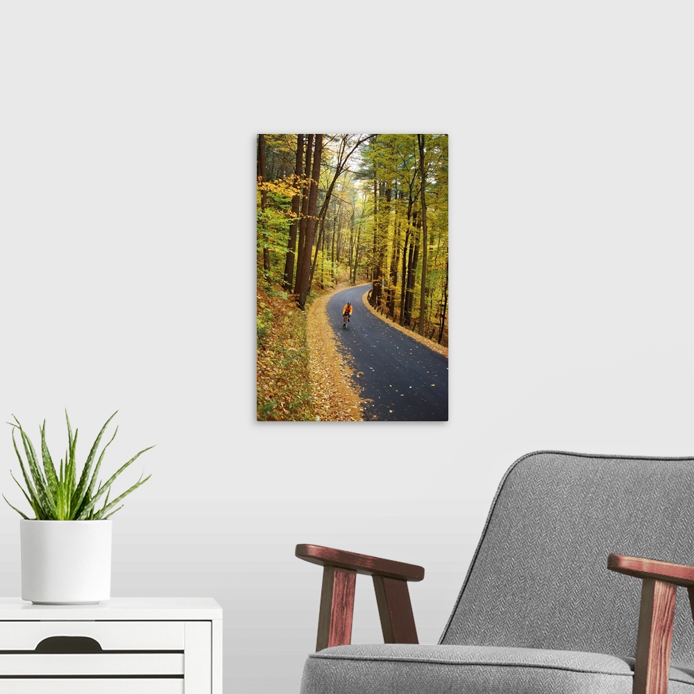A modern room featuring A biker on road amidst the fall foliage.
