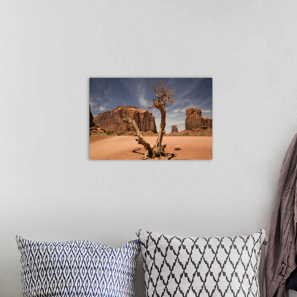 A bohemian room featuring A blasted tree in the North Window of Monument Valley.