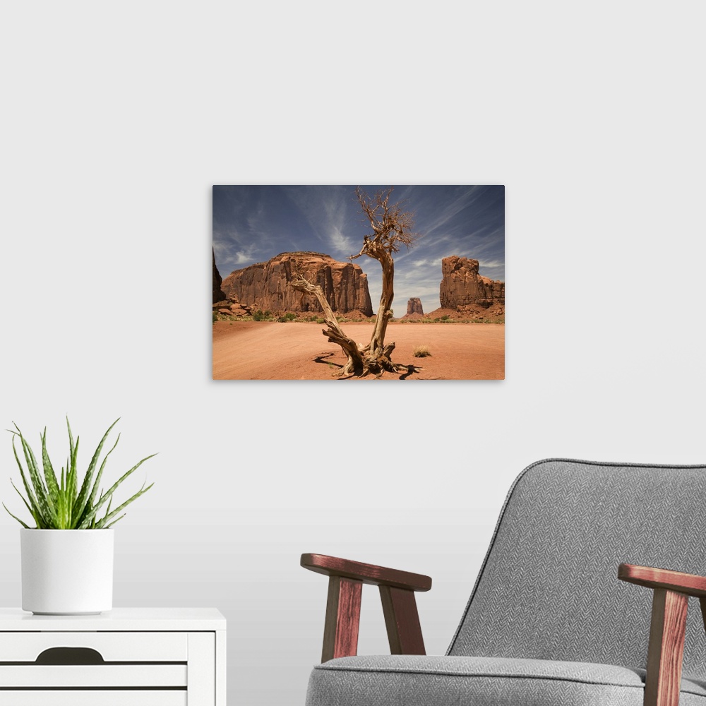 A modern room featuring A blasted tree in the North Window of Monument Valley.