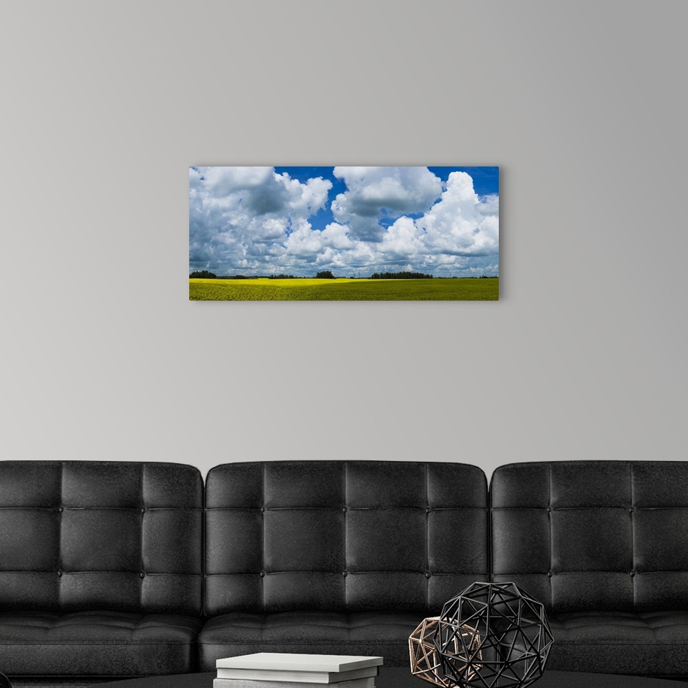 A modern room featuring A canola field under a cloudy filled with shadows of the clouds cast on the field, painting effec...