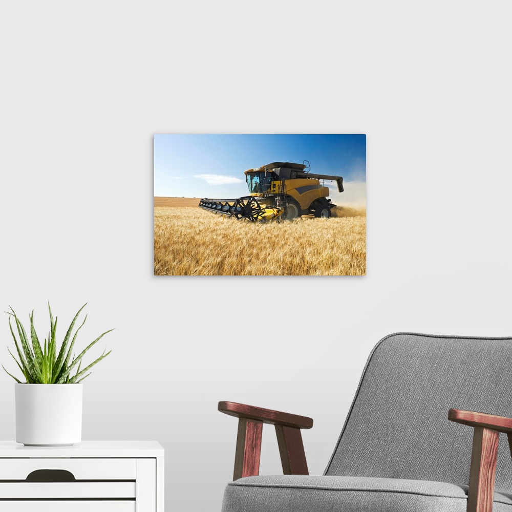 A modern room featuring A Combine Harvests Durum Wheat Near Ponteix, Saskatchewan, Canada