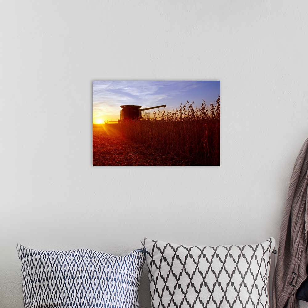 A bohemian room featuring A combine harvests mature soybeans at sunset with a farmstead in the distance, Illinois