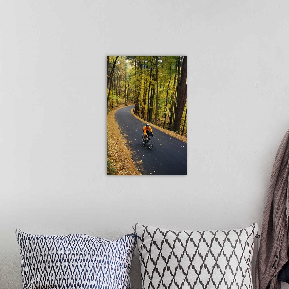 A bohemian room featuring A cyclist rides along a rural road in the fall.