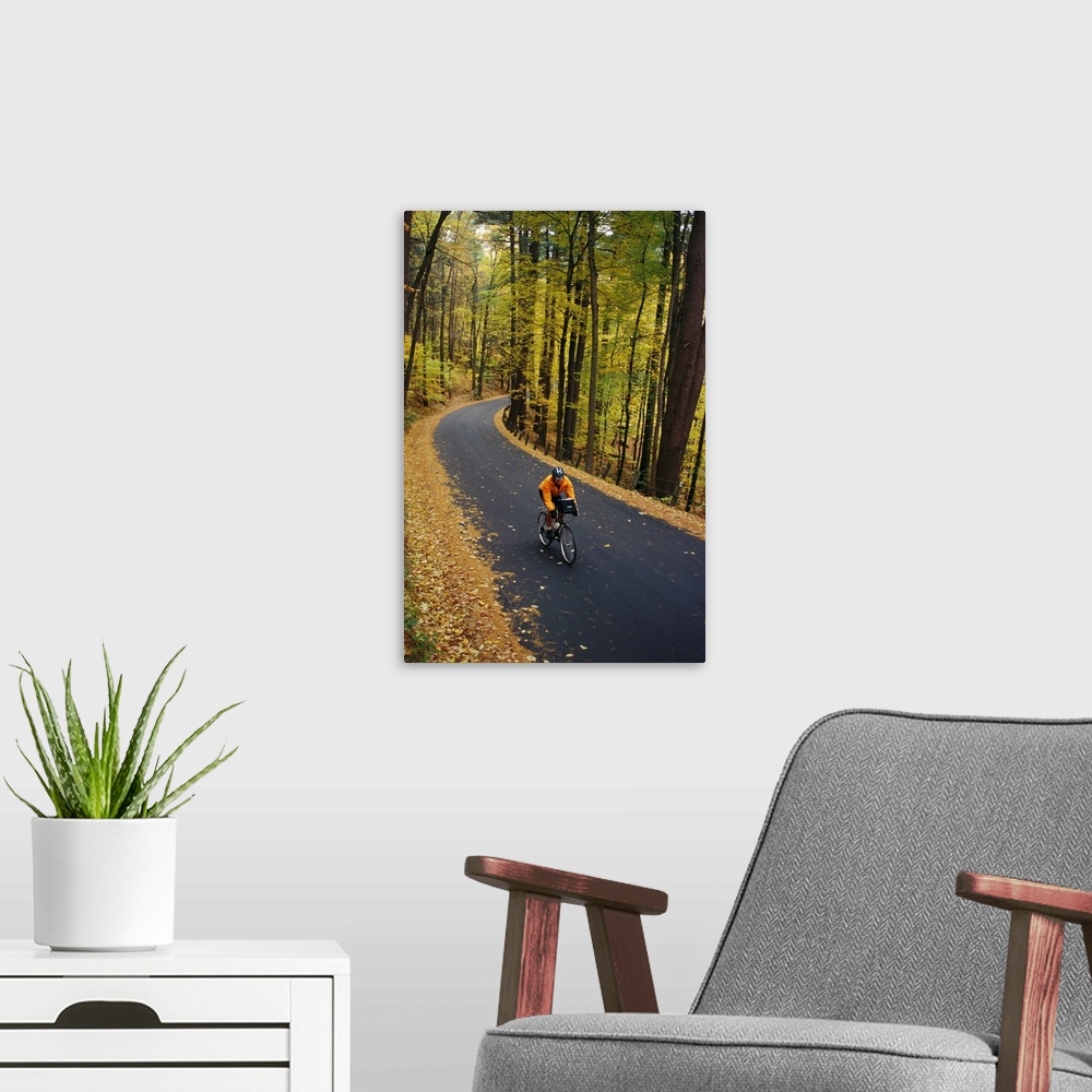 A modern room featuring A cyclist rides along a rural road in the fall.