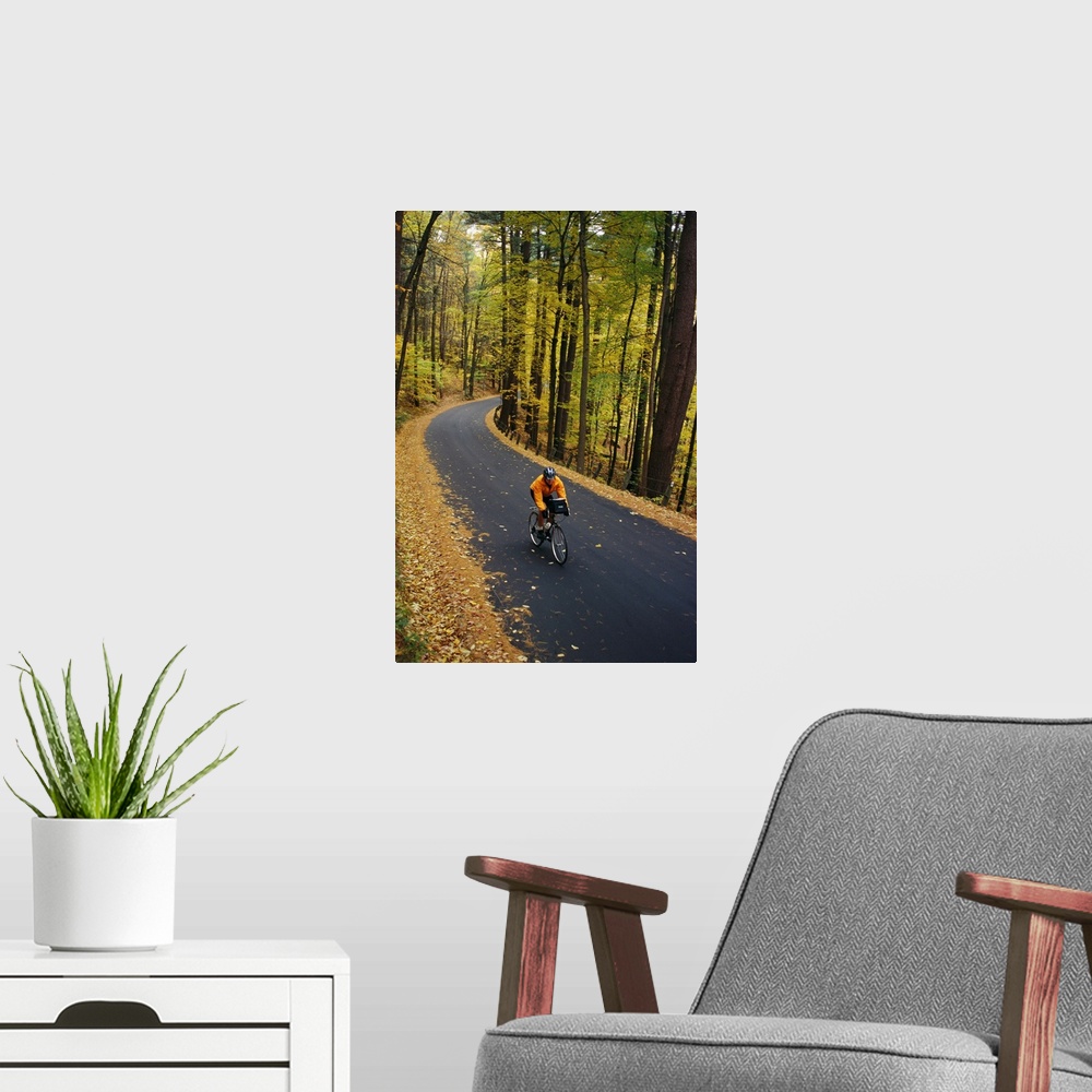 A modern room featuring A cyclist rides along a rural road in the fall.
