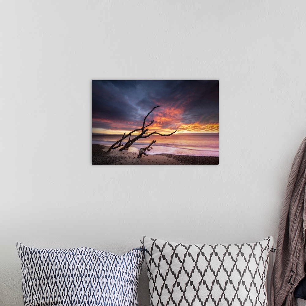 A bohemian room featuring A dead tree looking like its throwing fire on Benacre beach at sunrise.