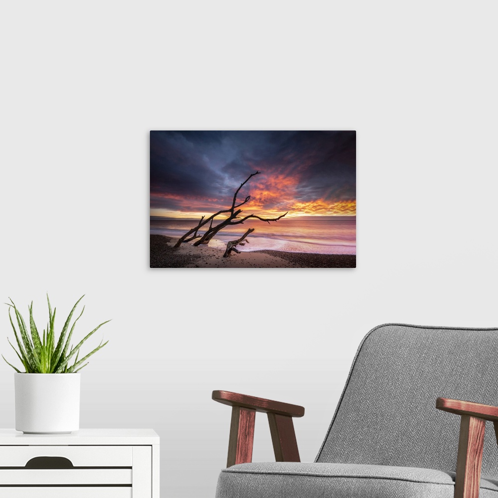 A modern room featuring A dead tree looking like its throwing fire on Benacre beach at sunrise.