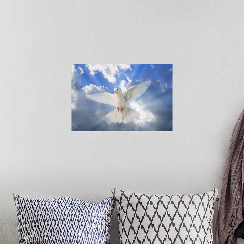 A bohemian room featuring A Dove In The Sky