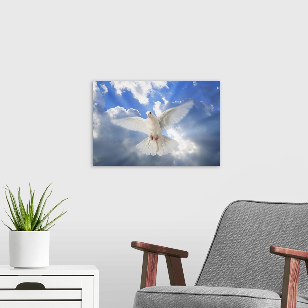 A modern room featuring A Dove In The Sky