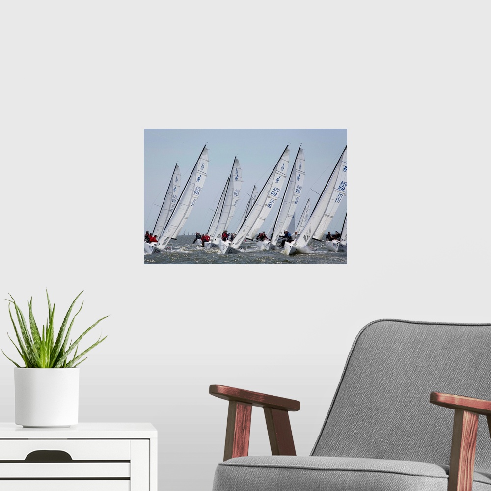 A modern room featuring A fleet of J70 Sailboats during a race on the Chesapeake Bay near Annapolis, MD