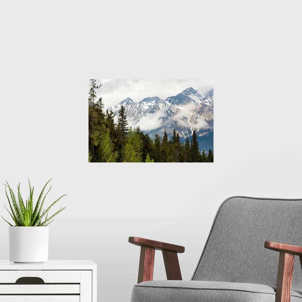 A modern room featuring A Forest And The Rocky Mountains; Jasper, Alberta, Canada