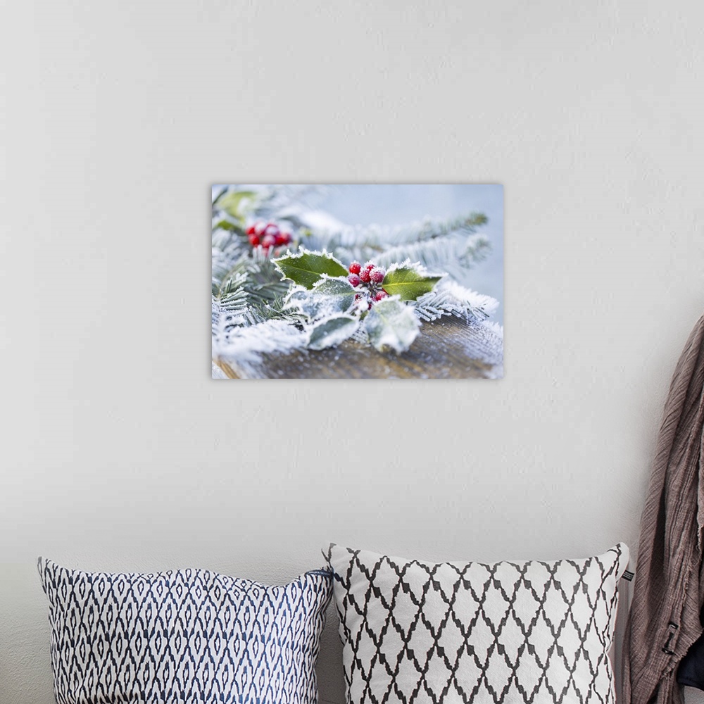 A bohemian room featuring A holly branch with berries and fir boughs covered in frost on a wooden board in selective focus,...