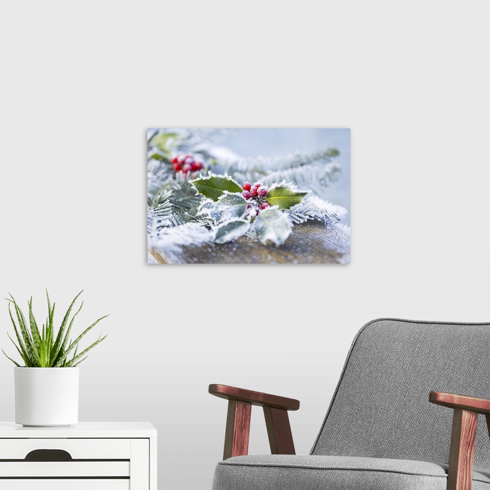 A modern room featuring A holly branch with berries and fir boughs covered in frost on a wooden board in selective focus,...