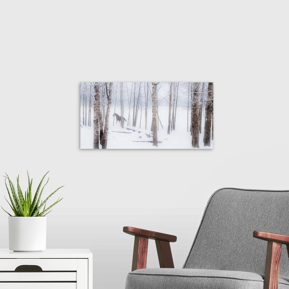 A modern room featuring A Horse Stands Beside A Forest Of Bare Trees In Winter; Alberta, Canada