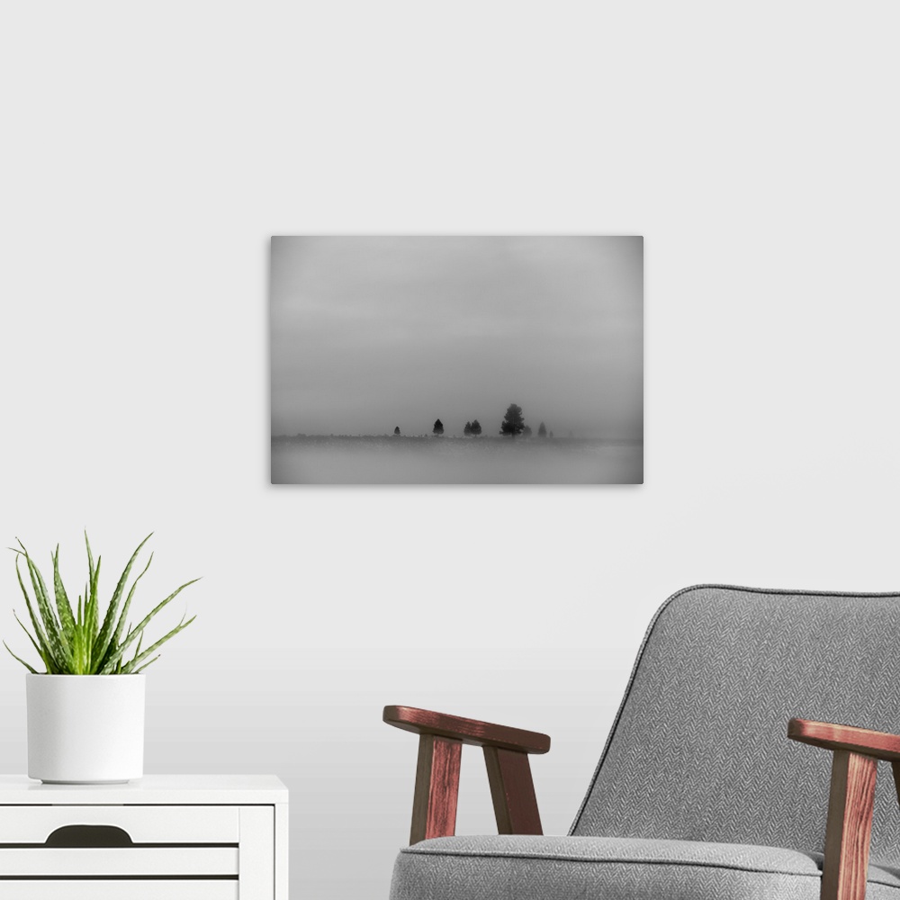 A modern room featuring A landscape in fog scattered with a few trees and dense cloud in the sky; California, United Stat...