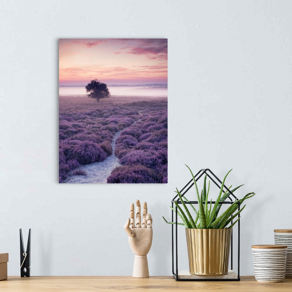 A bohemian room featuring A lone tree on Roydon Common during a misty summer sunrise.