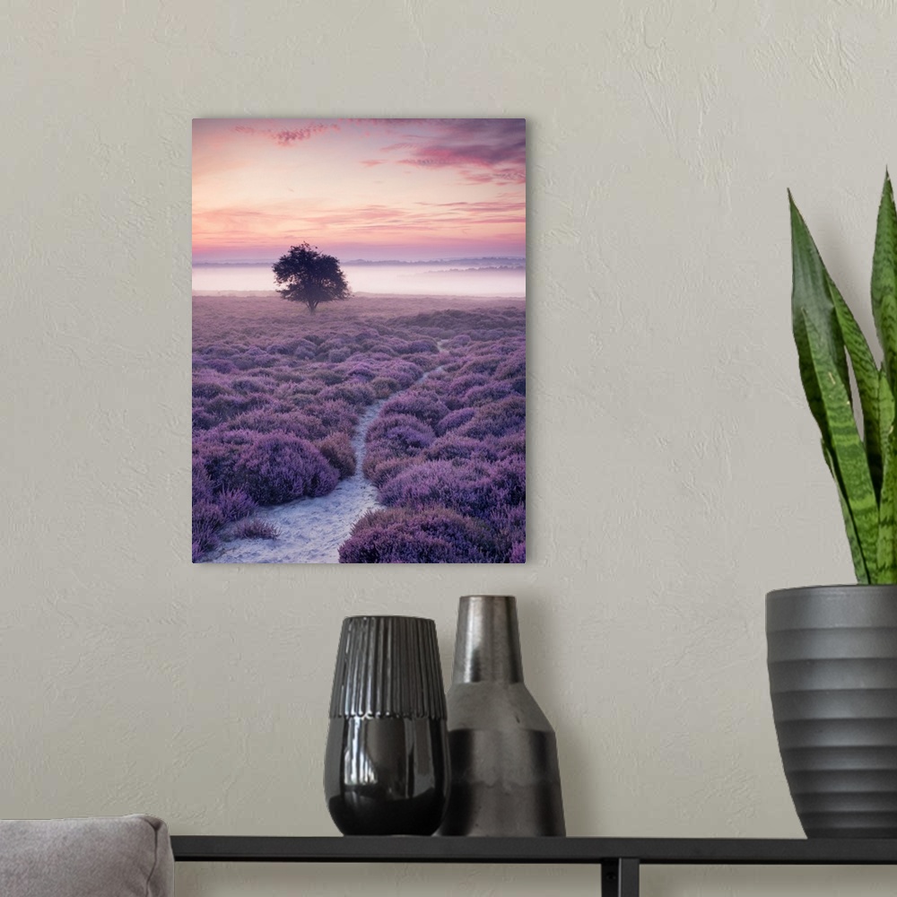A modern room featuring A lone tree on Roydon Common during a misty summer sunrise.