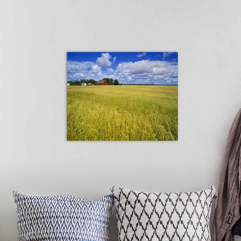 A bohemian room featuring A maturing field of wheat with a red barn and blue sky with white clouds above