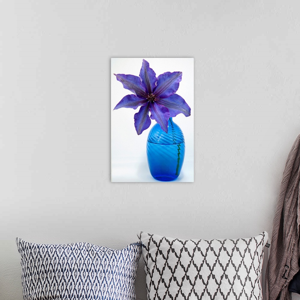 A bohemian room featuring A purple clematis flower in a blue vase.