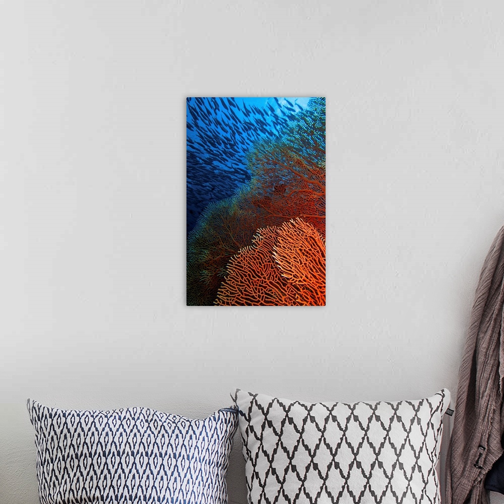 A bohemian room featuring A red fan coral in blue water with a school of fish above.