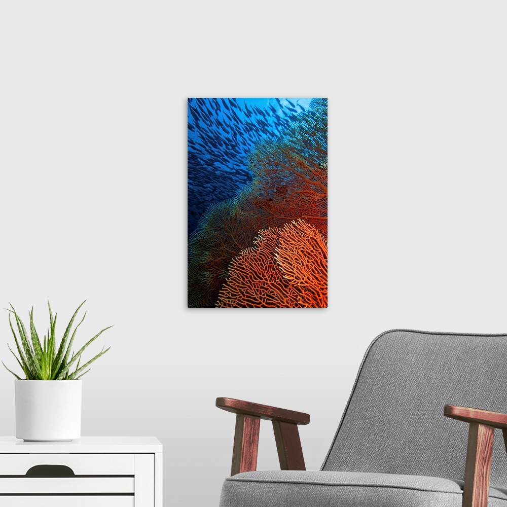 A modern room featuring A red fan coral in blue water with a school of fish above.