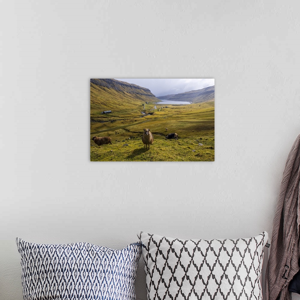 A bohemian room featuring A scenic field with sheep in Faroe islands.