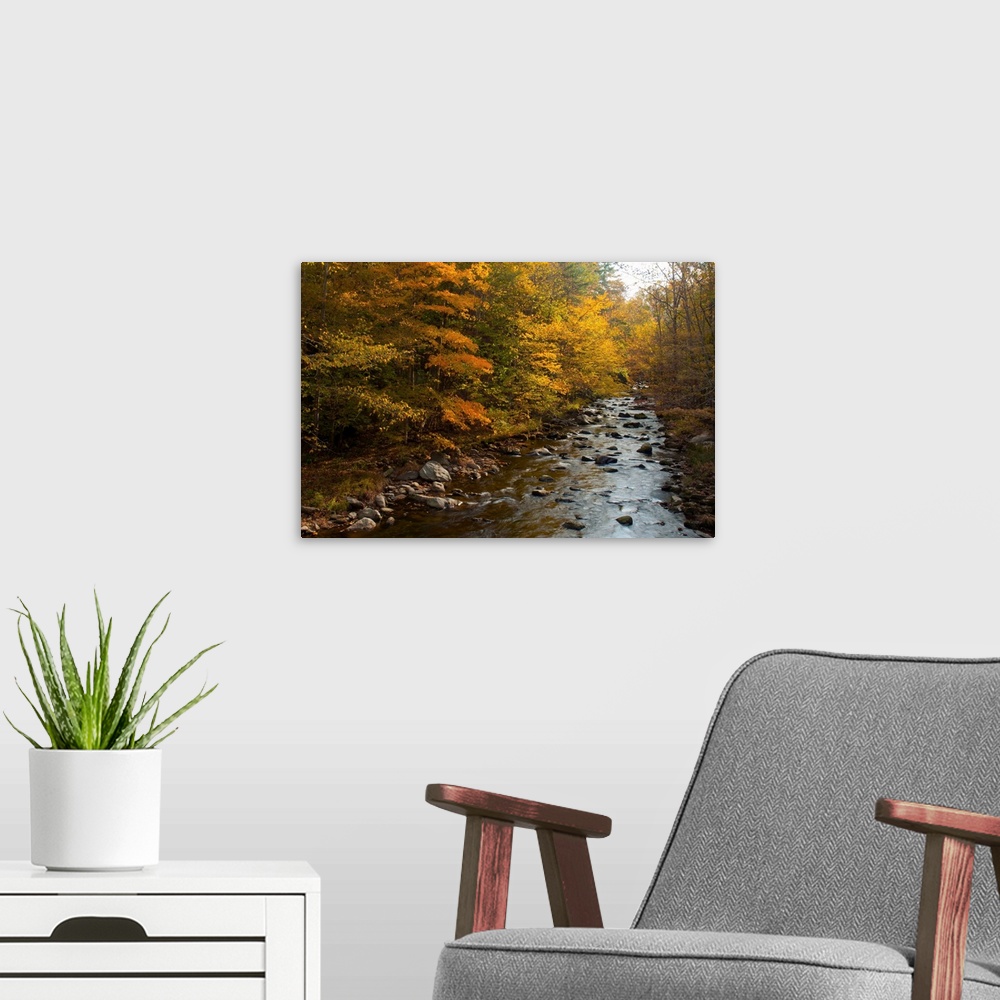 A modern room featuring A stream flowing through an autumn-hued forest in the Great Smoky Mountains.