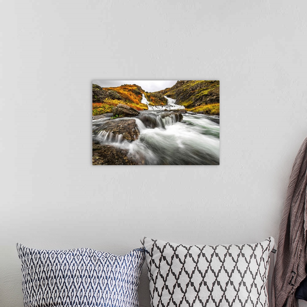 A bohemian room featuring A stream flows past on the West Fjords on its way to the ocean; Iceland