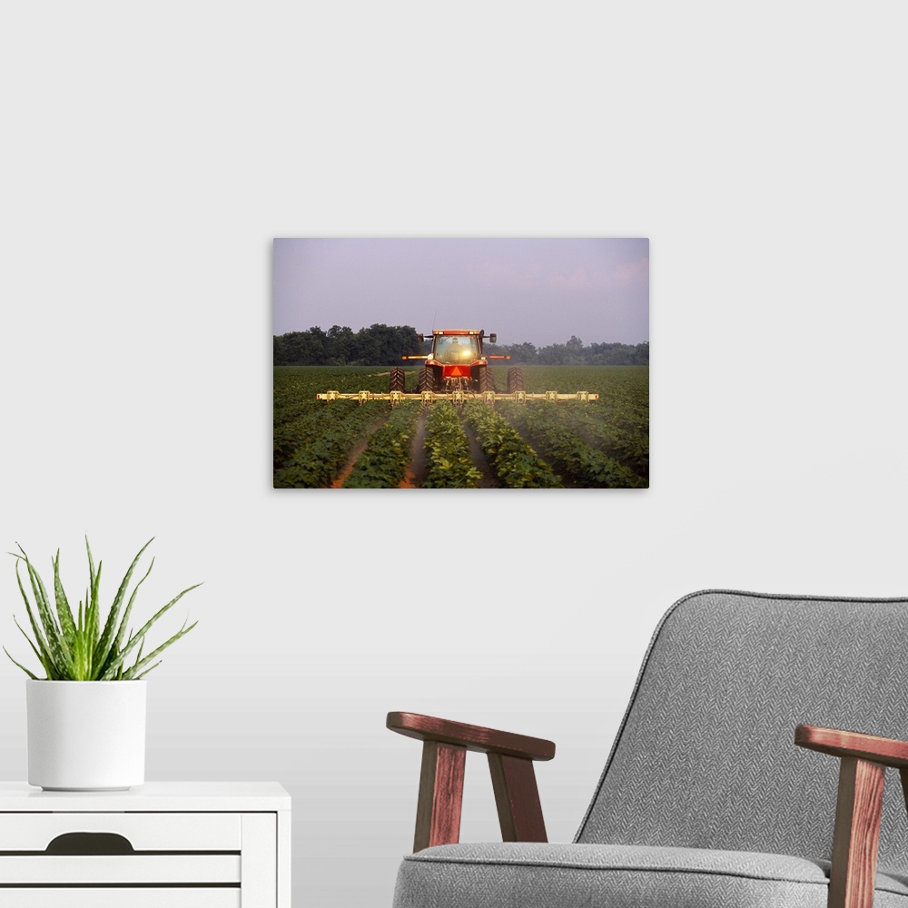 A modern room featuring A tractor cultivates mid growth cotton in early morning light, Mississippi