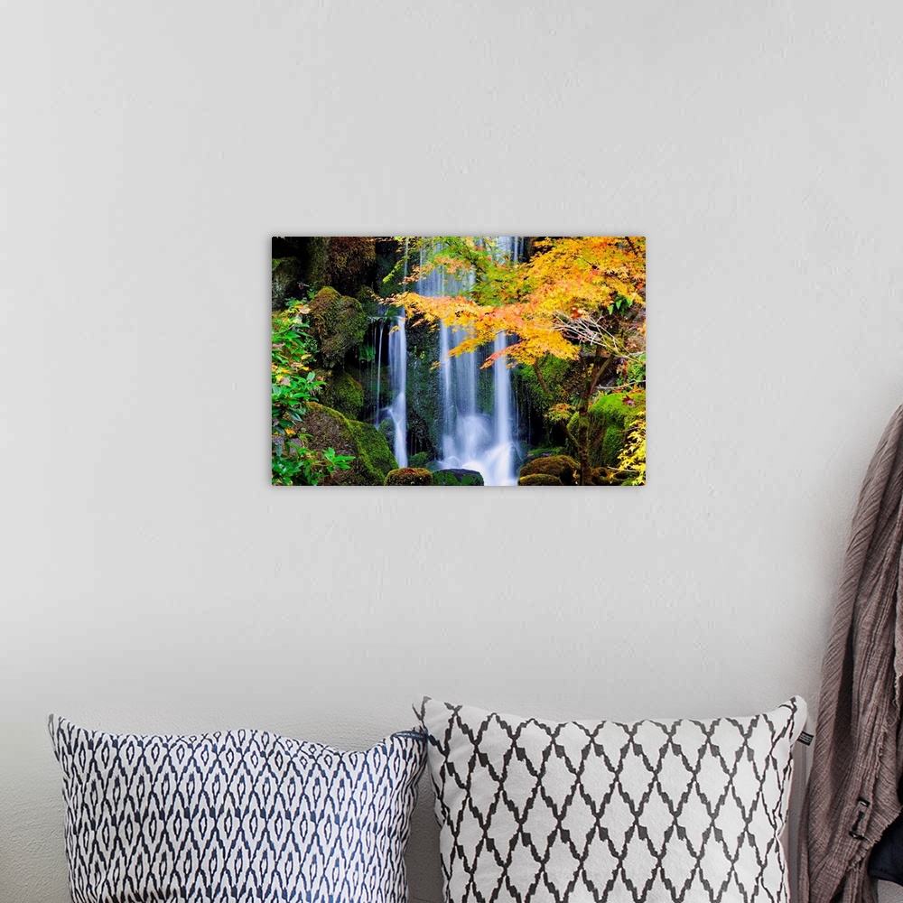 A bohemian room featuring A Waterfall In A Japanese Garden In Autumn, Portland, Oregon