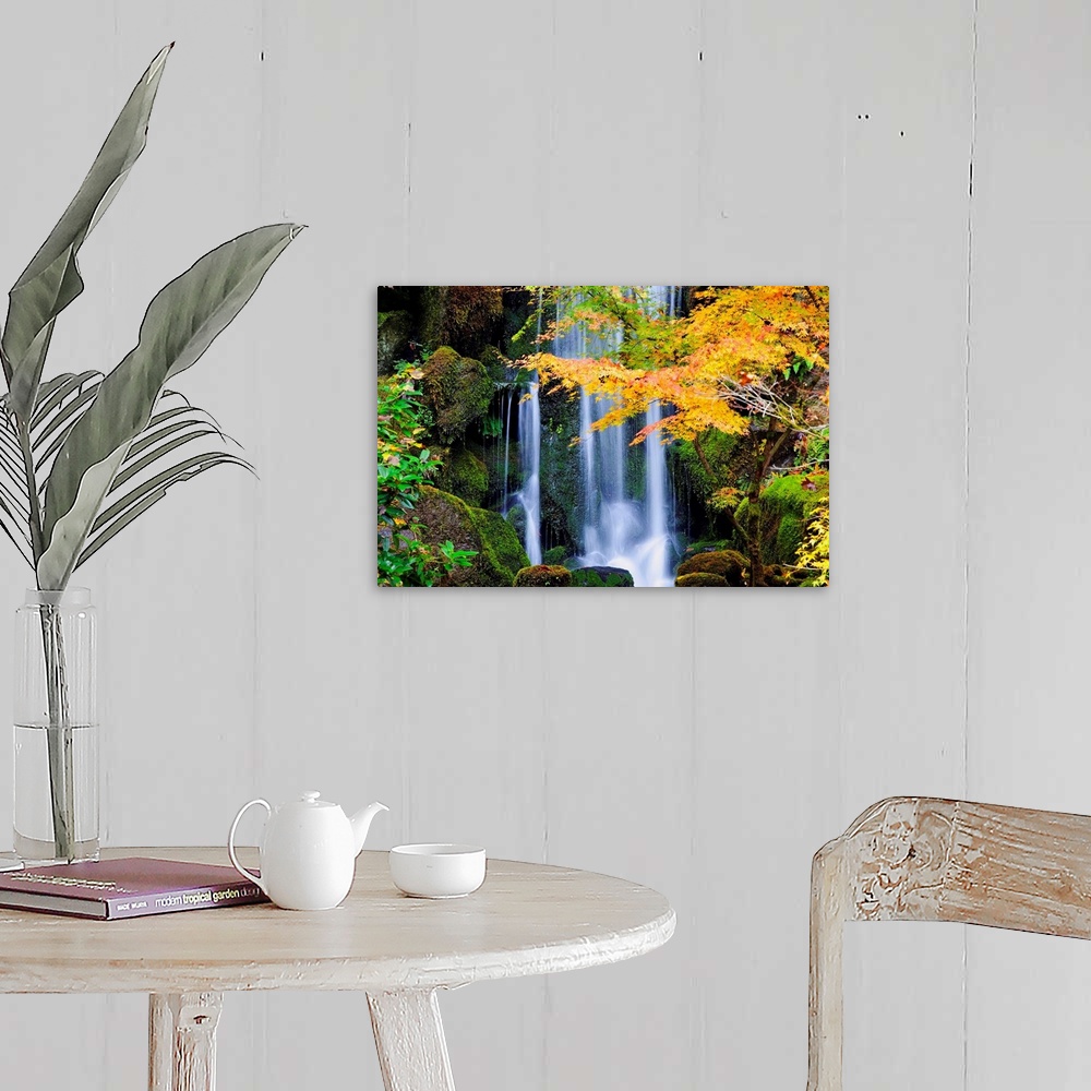 A farmhouse room featuring A Waterfall In A Japanese Garden In Autumn, Portland, Oregon