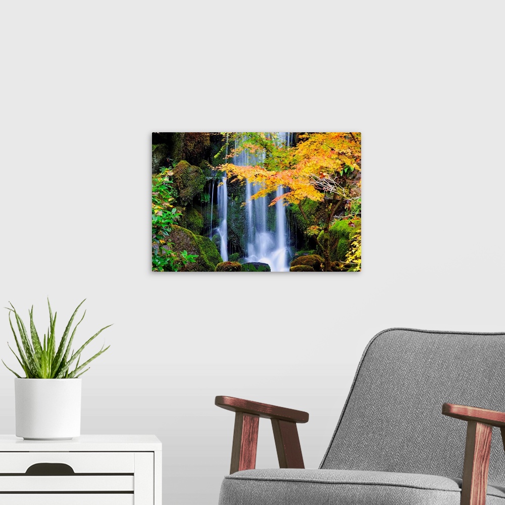 A modern room featuring A Waterfall In A Japanese Garden In Autumn, Portland, Oregon