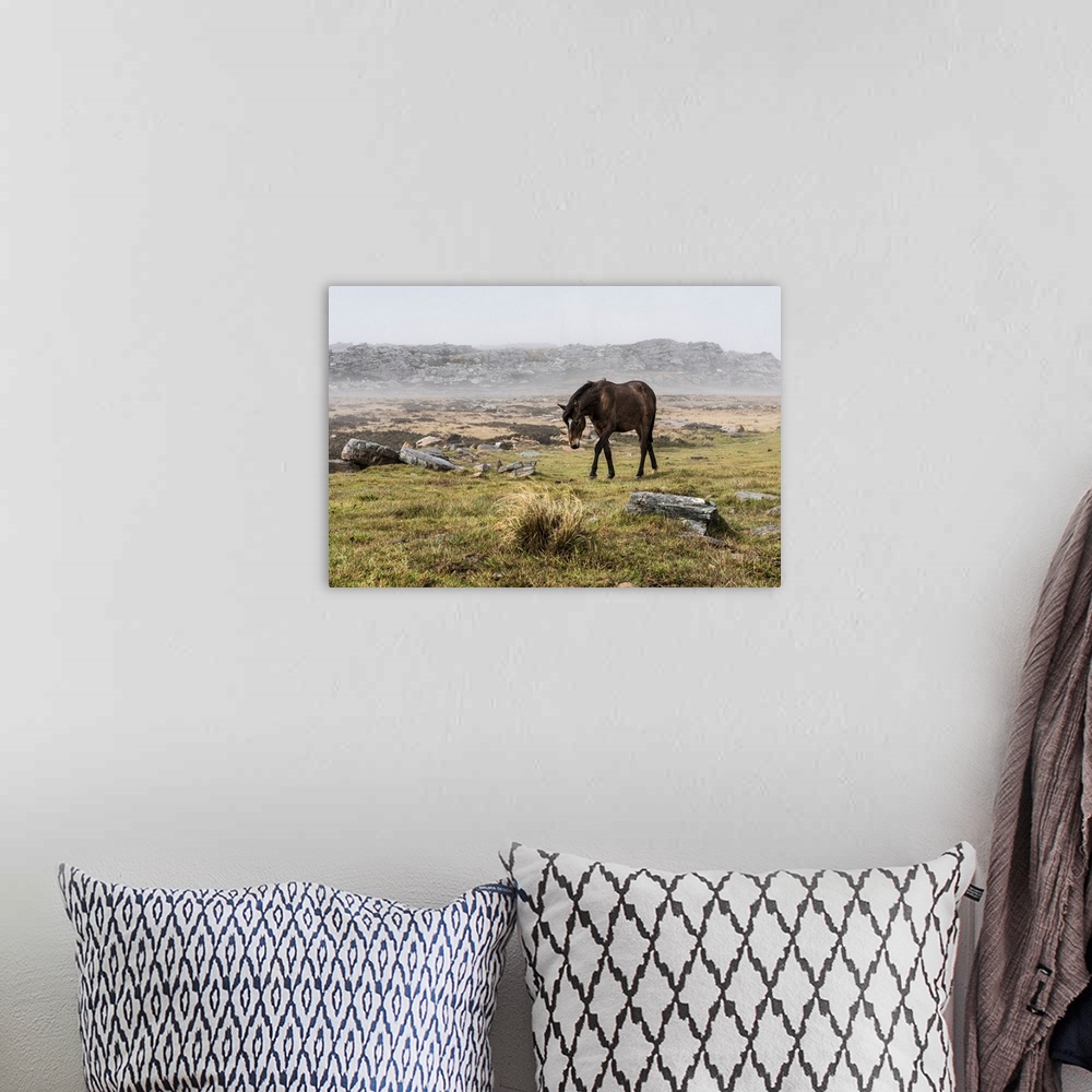 A bohemian room featuring A wild brown horse walking in a foggy field.