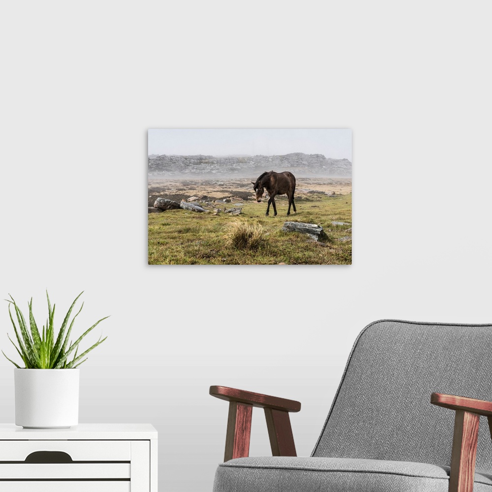 A modern room featuring A wild brown horse walking in a foggy field.