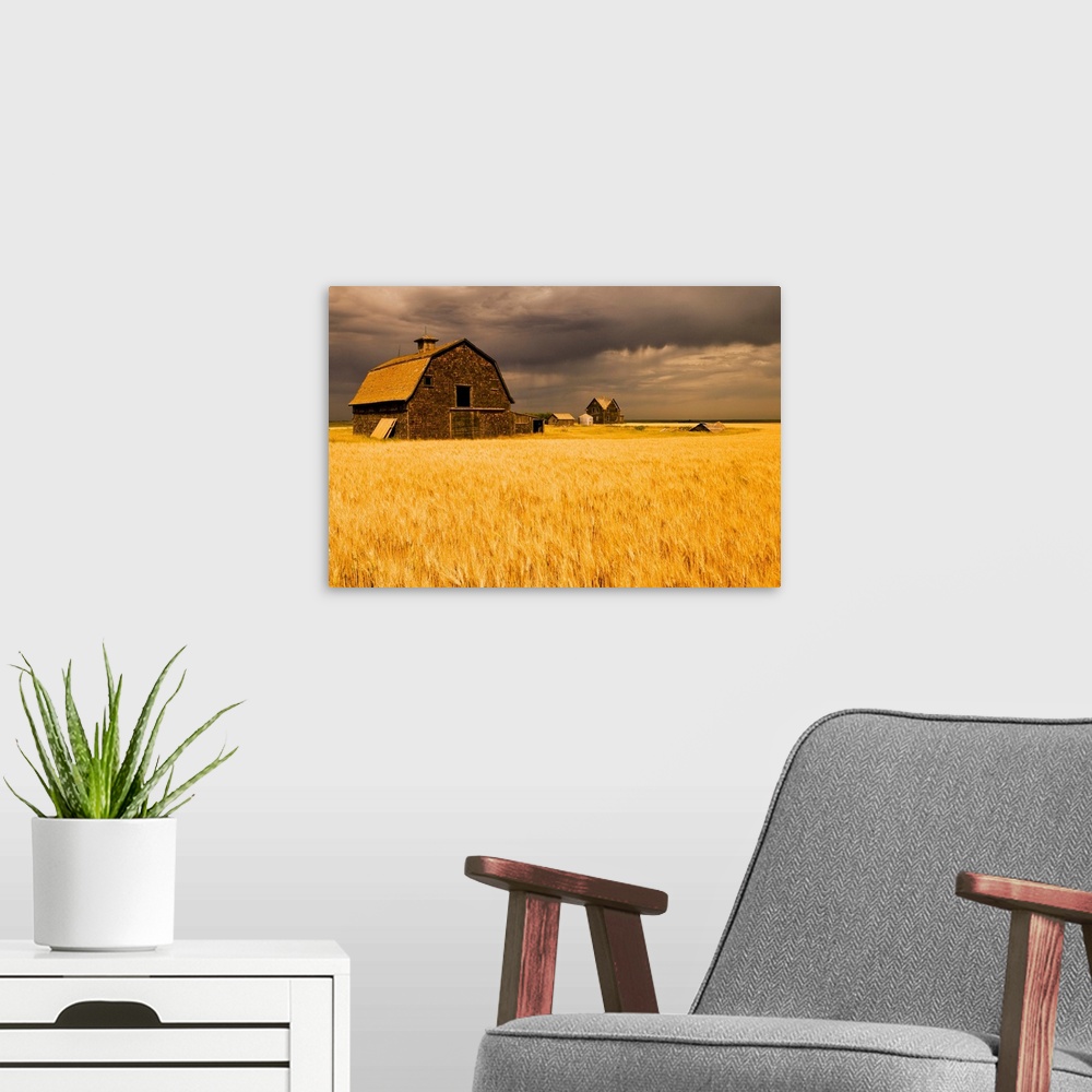 A modern room featuring Abandoned Farm, Wind-Blown Durum Wheat Field, Saskatchewan, Canada