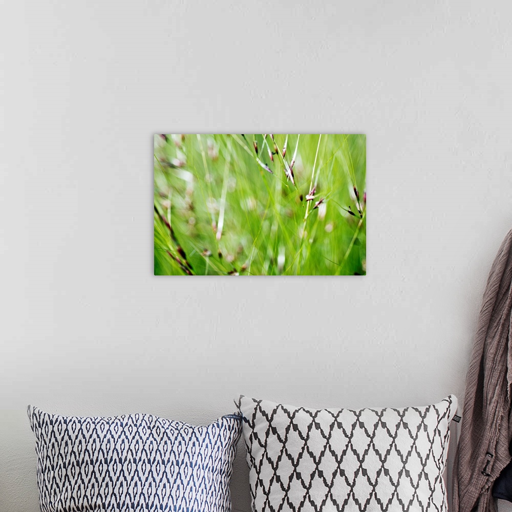 A bohemian room featuring Horizontal abstract photograph on a giant canvas of a close up, blurred view of green ornamental ...