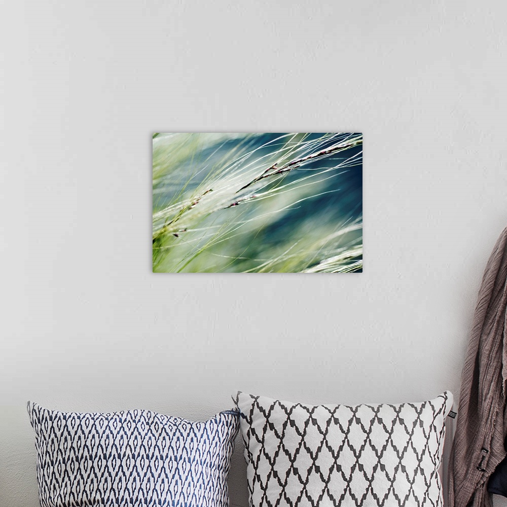 A bohemian room featuring Big canvas photo of the up close view of decorative grass in a field.
