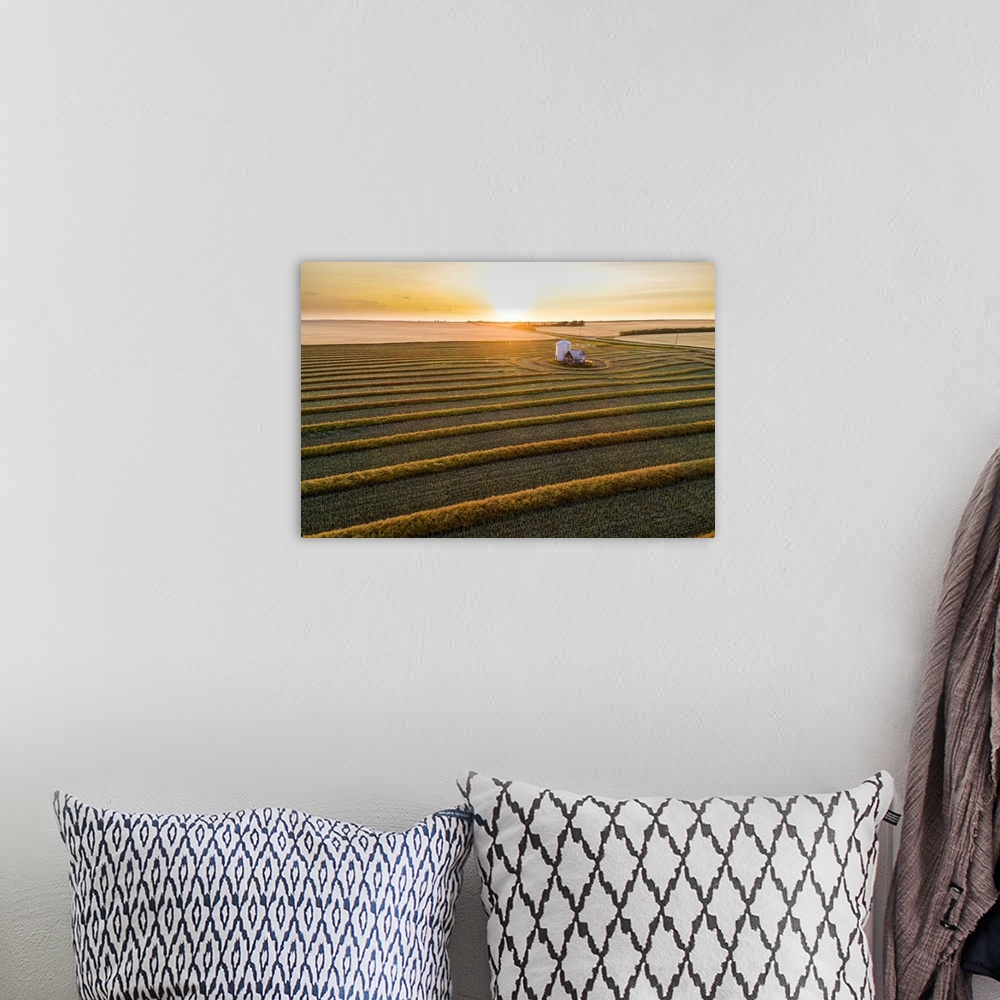 A bohemian room featuring Aerial views of canola harvest lines glowing at sunset; Blackie, Alberta, Canada