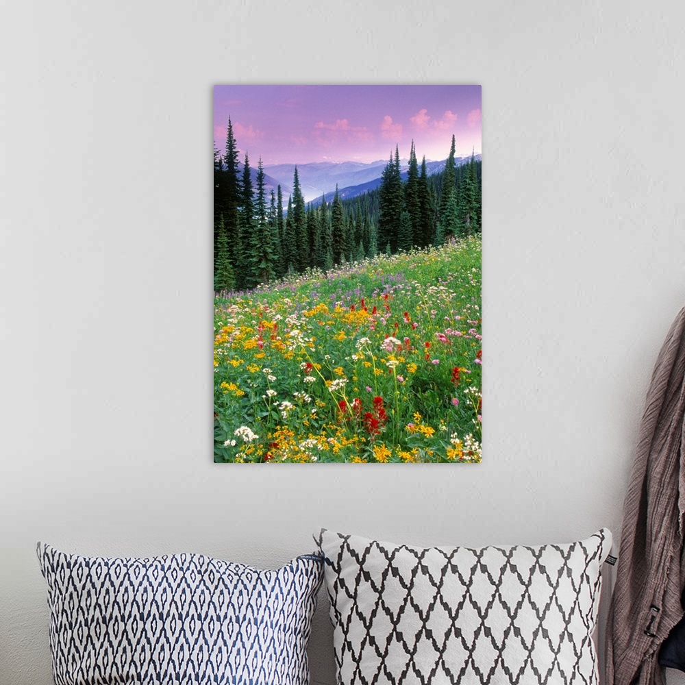 A bohemian room featuring Alpine Wildflower Meadow, British Columbia, Canada