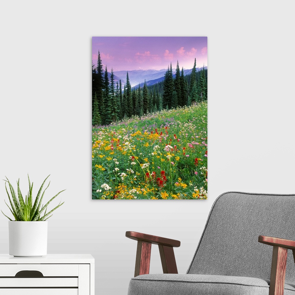 A modern room featuring Alpine Wildflower Meadow, British Columbia, Canada