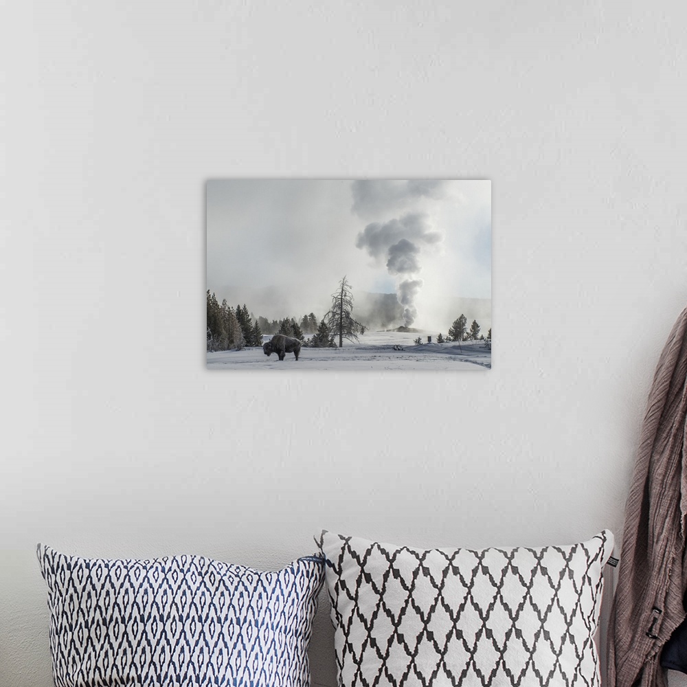 A bohemian room featuring American Bison (Bison bison) stands on snow with Old Faithful erupting in the background, Upper G...