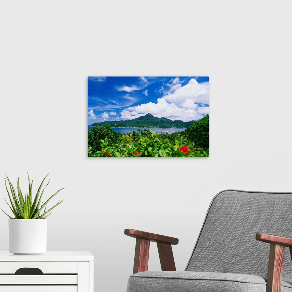 A modern room featuring American Samoa, Pago Pago Harbor, Greenery And Flowers, Clouds I