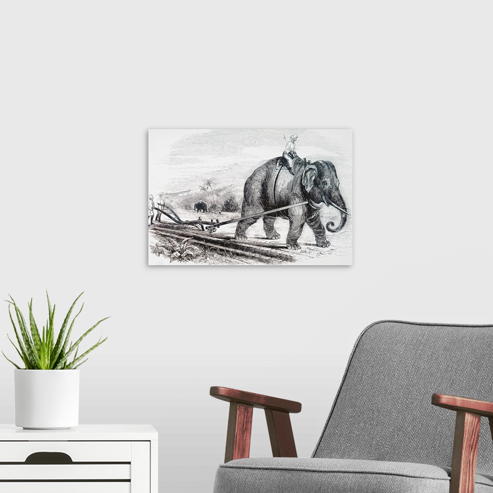 A modern room featuring Illustration depicting an elephant being used to draw a plough on an Indian sugar plantation, usi...