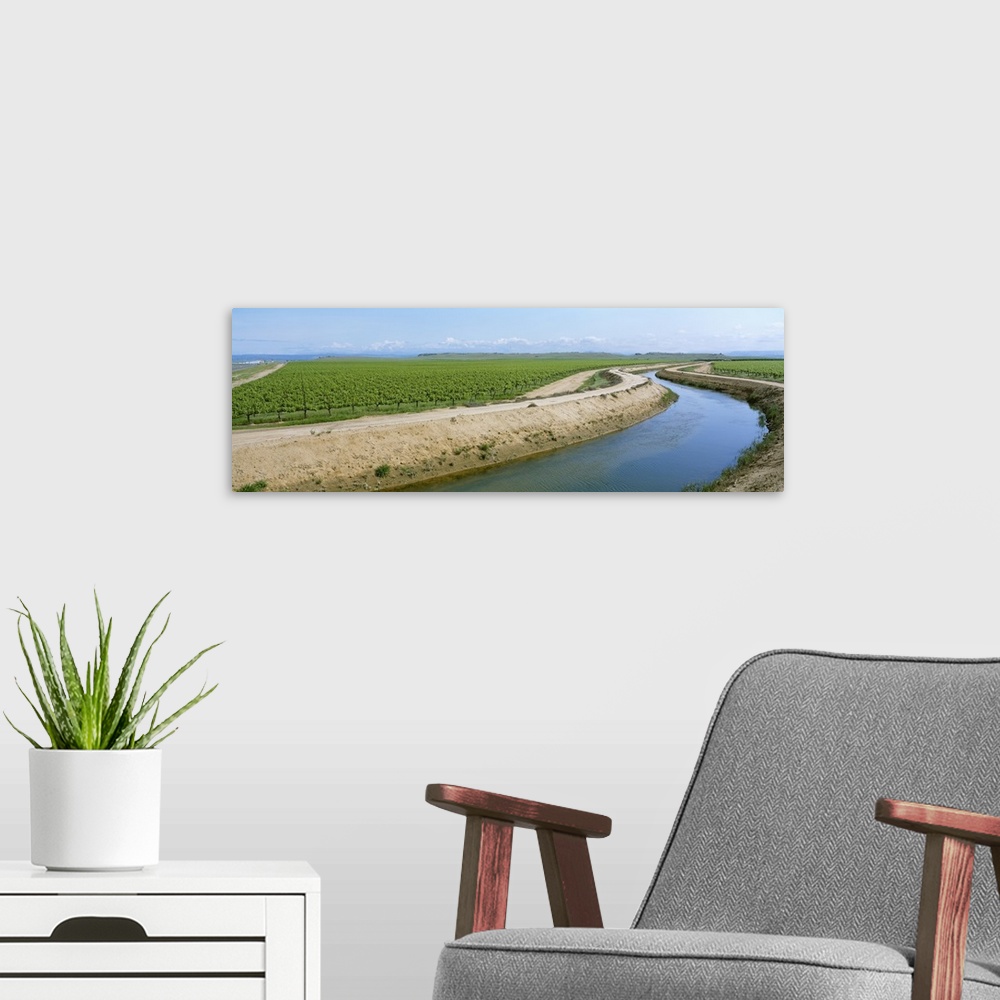 A modern room featuring An irrigation canal winds between two table grape vineyards, Madera County, California
