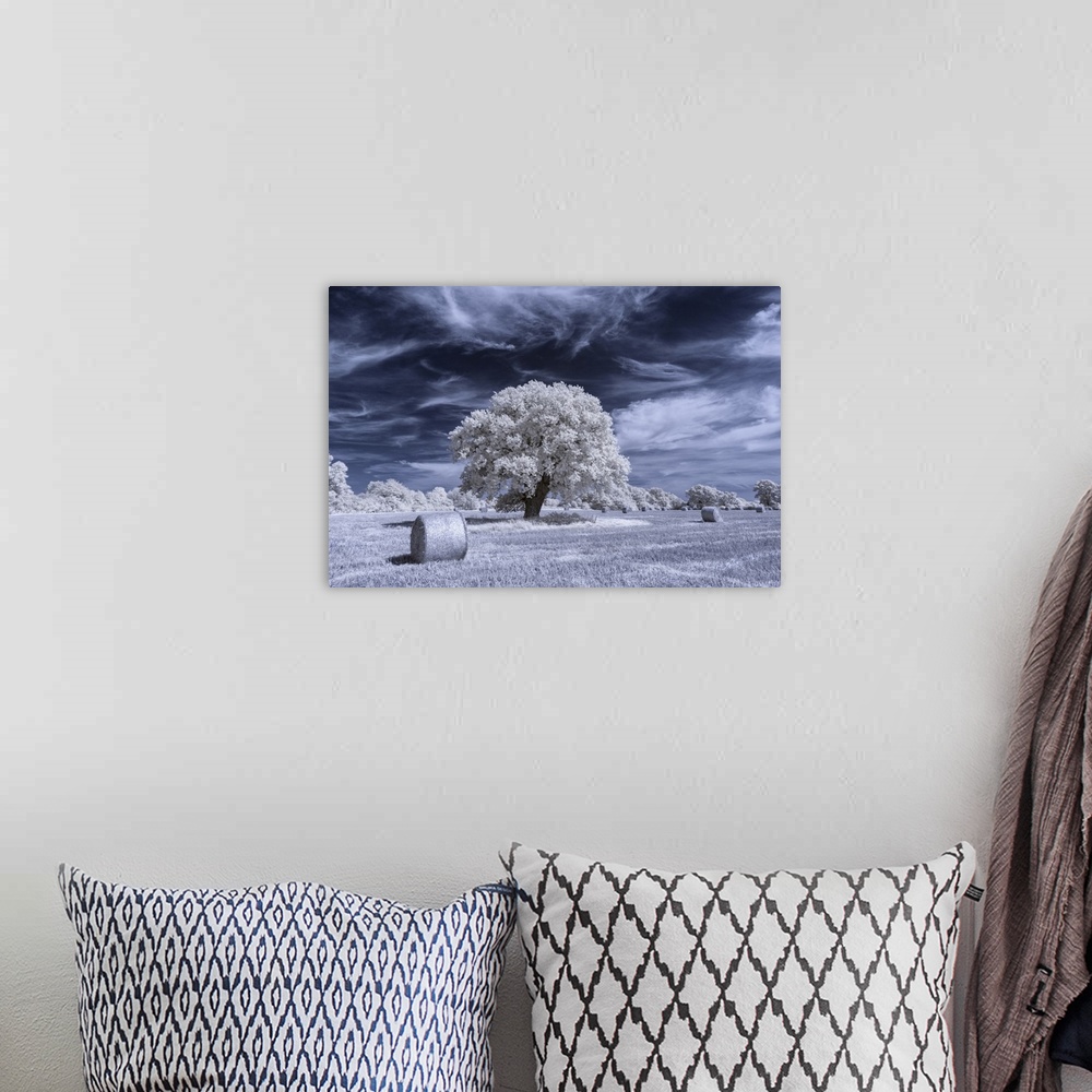 A bohemian room featuring An oak tree surrounded by hay bales in a rural field in Infrared.