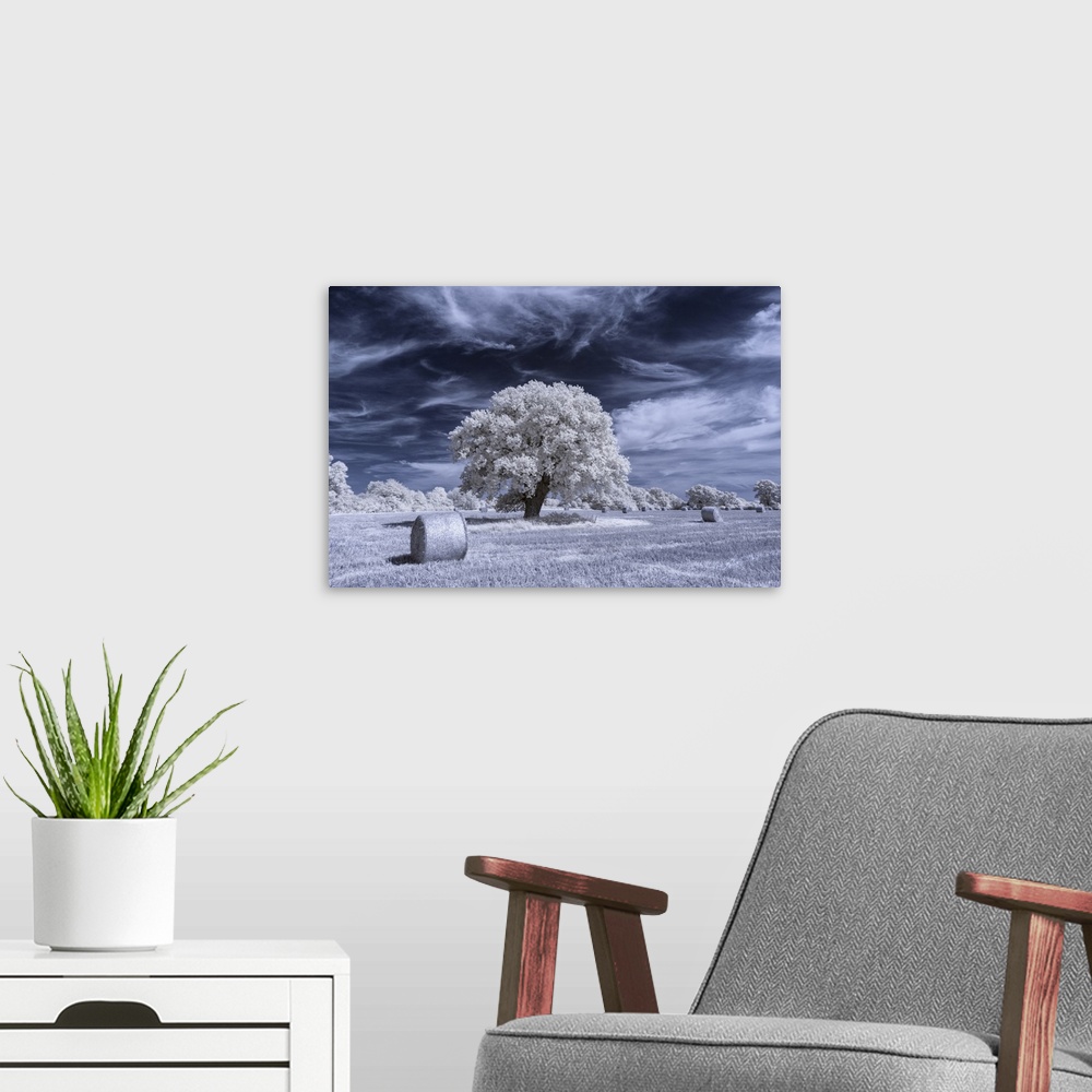 A modern room featuring An oak tree surrounded by hay bales in a rural field in Infrared.