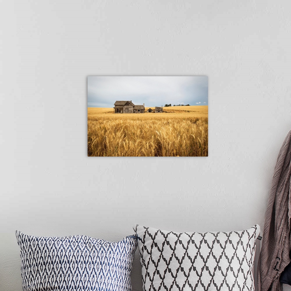 A bohemian room featuring An old wooden farmstead in a wheat field, Palouse, Washington, United States of America.