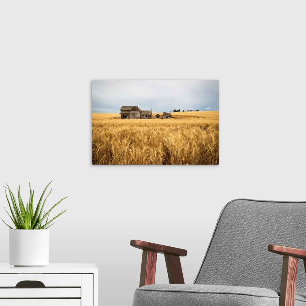 A modern room featuring An old wooden farmstead in a wheat field, Palouse, Washington, United States of America.
